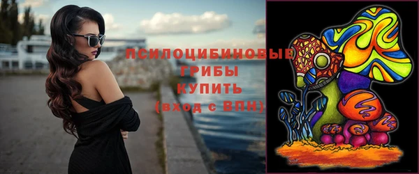 шишки Алексин