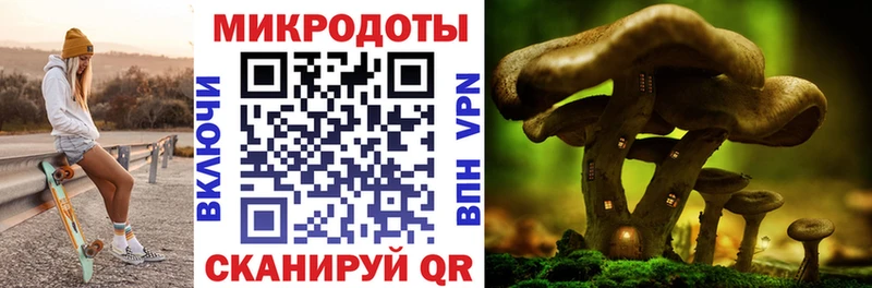 OMG   Бабушкин  Псилоцибиновые грибы MAGIC MUSHROOMS 